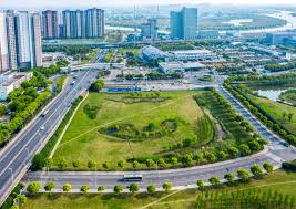 利川城市道路绿化树种