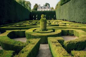 beat365 茗缘轩园林绿化工程